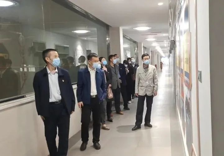 香港内部精准马料免费资料