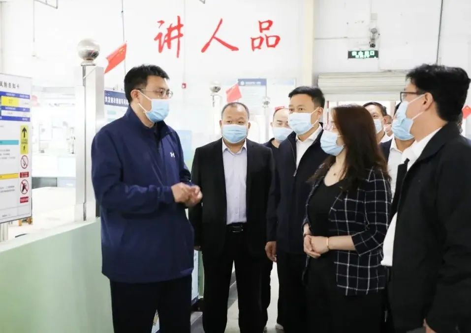 香港内部精准马料免费资料