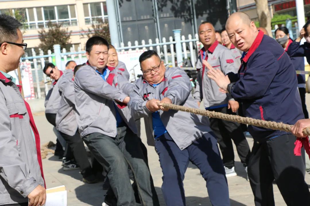 香港内部精准马料免费资料