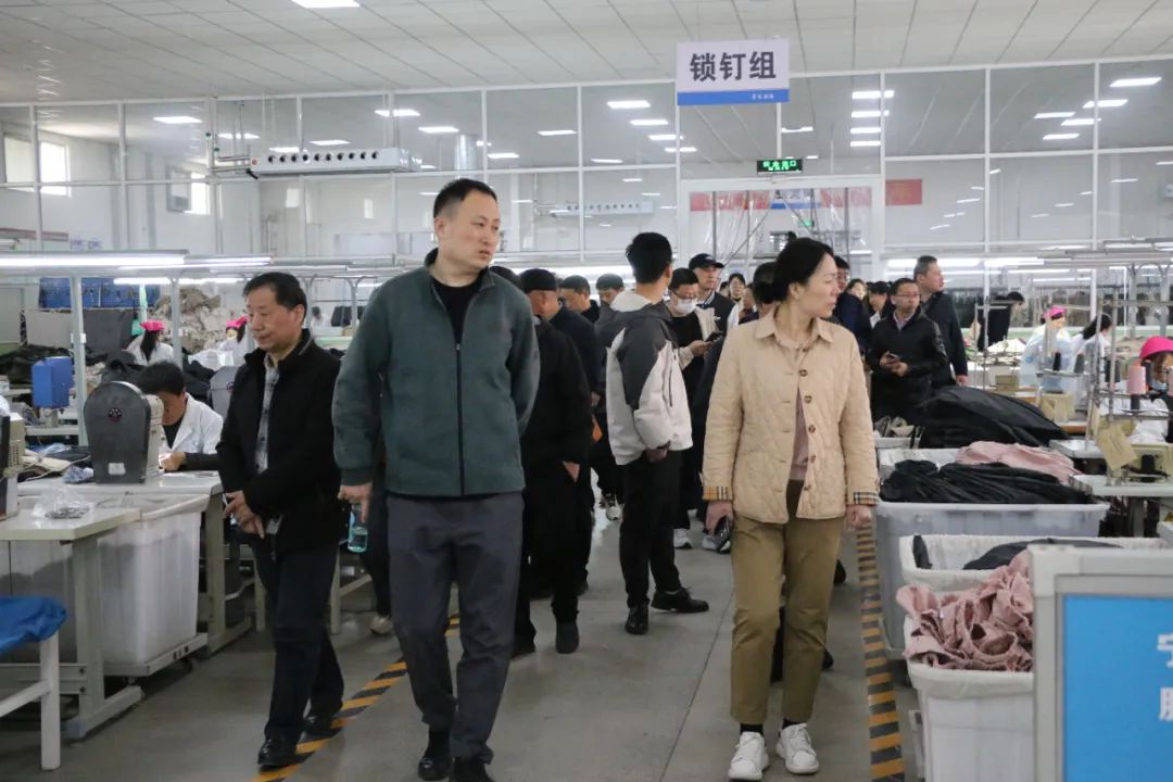 香港内部精准马料免费资料